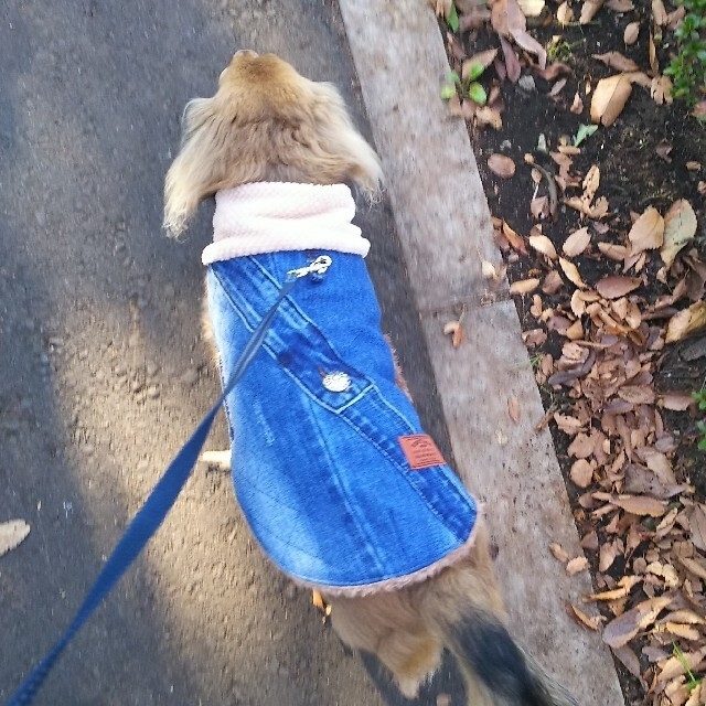 犬服♡犬服ハンドメイド♡オーダー受付中