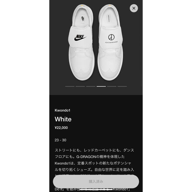 Nike Kwondo1 "White" 27cm