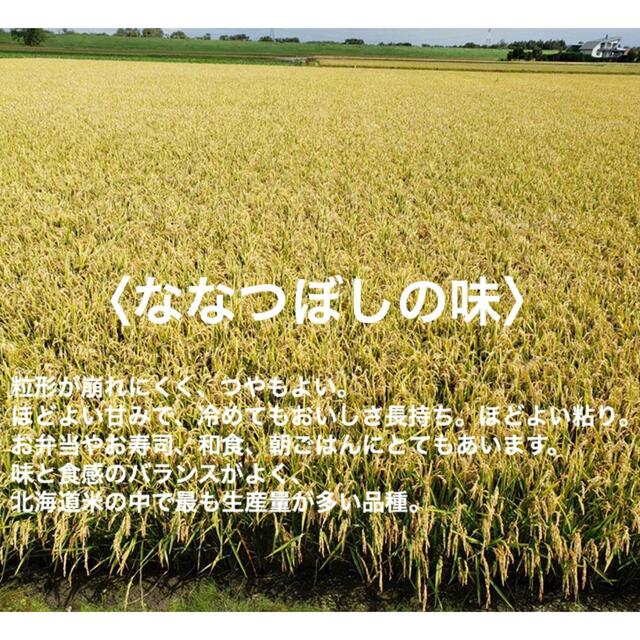 新米  北海道令和3年度産　最高品質一等米　ななつぼし　20キロ（10キロ×2）