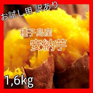 安納芋　種子島　サツマイモ　さつまいも　新鮮　野菜　お試し用　送料無料(野菜)