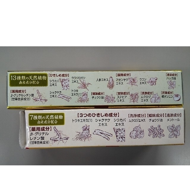 小林製薬(コバヤシセイヤク)の小林製薬 生葉  試供品 2種類 コスメ/美容のオーラルケア(歯磨き粉)の商品写真
