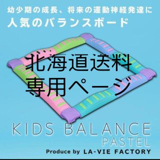 平均台 バランスストーン 12点セットの北海道送料　専用ページ(その他)