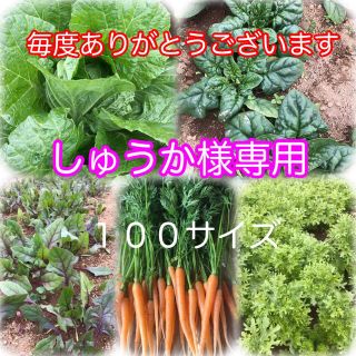 しゅうか様専用(野菜)