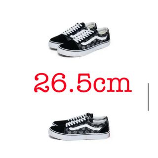 ヴァンズ(VANS)のBUMP OF CHICKEN VANS (スニーカー)