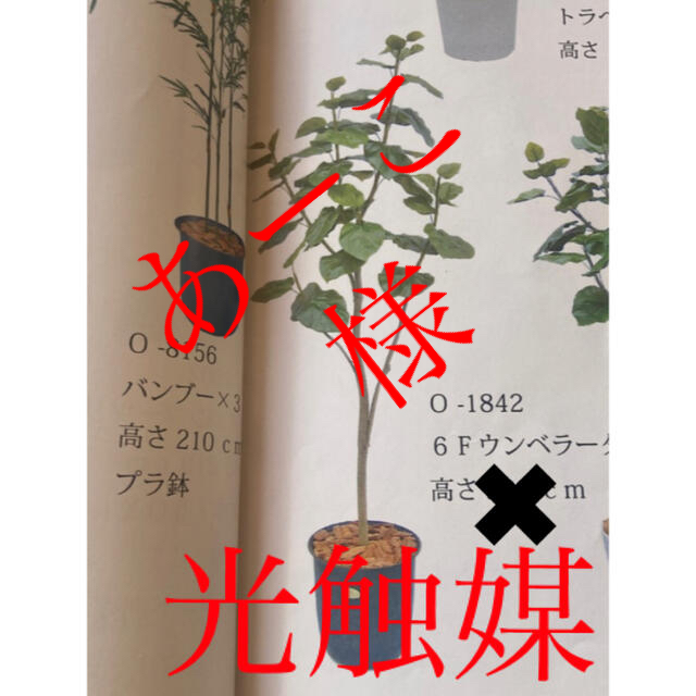 光触媒　人工観葉植物　ウォールグリーン　フェイクグリーン　ウンベラータ180