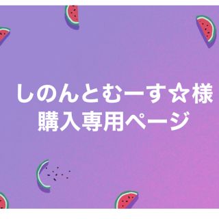 しのんとむーす☆様専用ページ(置物)