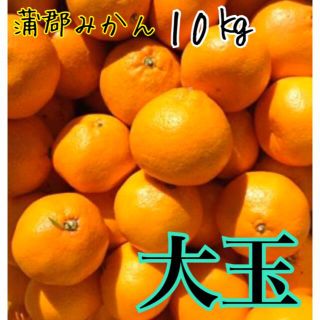 蒲郡みかん10Kg 大玉サイズ(フルーツ)