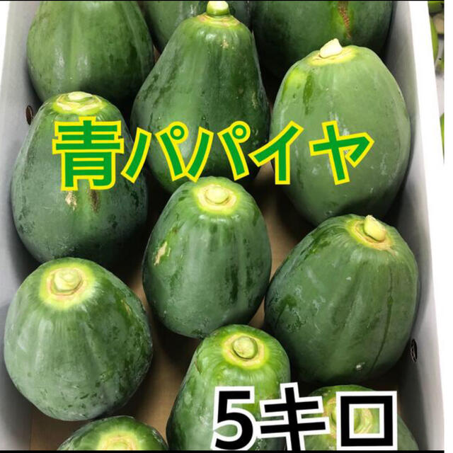 青パパイヤ　 5キロ 食品/飲料/酒の食品(野菜)の商品写真