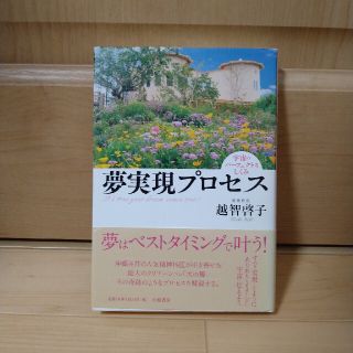 夢実現プロセス 宇宙のパ－フェクトなしくみ(文学/小説)