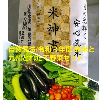 令和３年産新米と九州とれたて野菜セット(米/穀物)