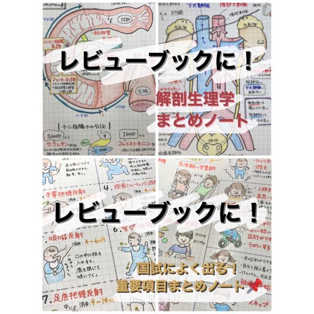 解剖生理学+重要項目まとめノート セット販売 エンタメ/ホビーの本(語学/参考書)の商品写真