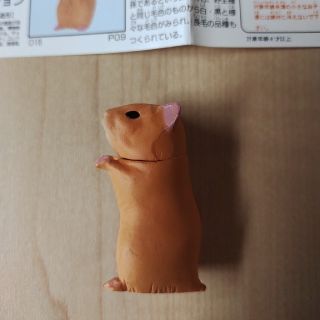 カイヨウドウ(海洋堂)のチョコエッグペット動物コレクション(その他)