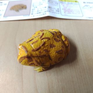 カイヨウドウ(海洋堂)のチョコエッグペット動物コレクション(その他)