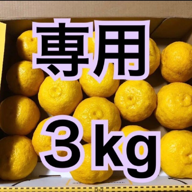 ① 3キロ 多田錦 種無し 柚子 ゆず 食品/飲料/酒の食品(フルーツ)の商品写真