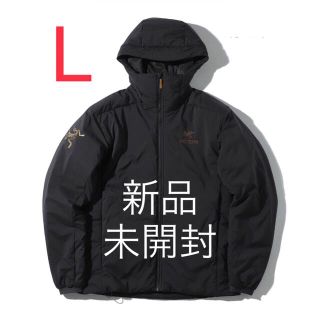 ARC'TERYX - ARC'TERYX BEAMS Atom AR Hoody Lの通販 by ARC'TERYX - ARC'TERYX BEAMS Atom AR Hoody Lの通販 by