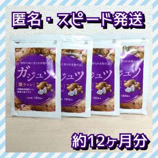 【ダイエットを頑張る方へ】シードコムス ガジュツ 約3ヶ月分×4袋(その他)