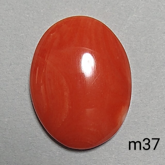 m37 天然 煌 本珊瑚ルース 13.75 ct 2.75 g