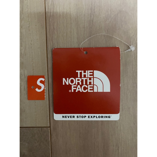 Supreme(シュプリーム)のSupreme the north face leaves nupste メンズのジャケット/アウター(ダウンジャケット)の商品写真