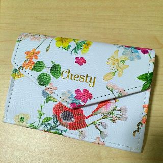 チェスティ(Chesty)の美人百花付録(その他)