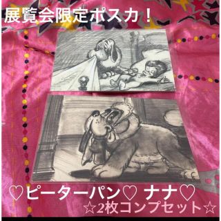 ディズニー(Disney)の銀座松屋限定♡キャッツアンドドッグス展♡ピーターパン♡ポスカ♡コンプリート2枚！(印刷物)