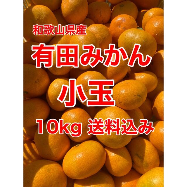 有田みかん🍊小玉🍊10㎏🍊家庭用🍊送料込み 食品/飲料/酒の食品(フルーツ)の商品写真