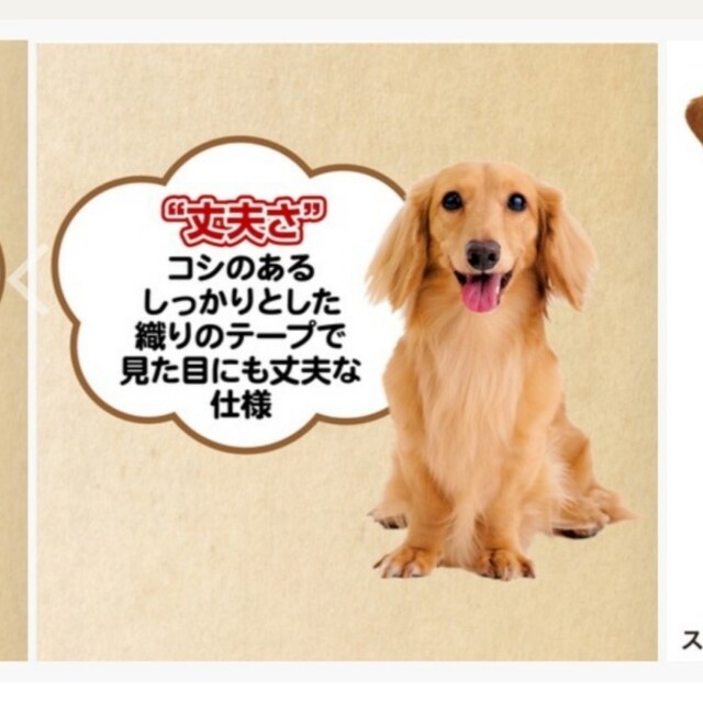 Petio　メリカジストライプ　カラー&リード２点セット　Ｌブラック　大型犬 その他のペット用品(犬)の商品写真