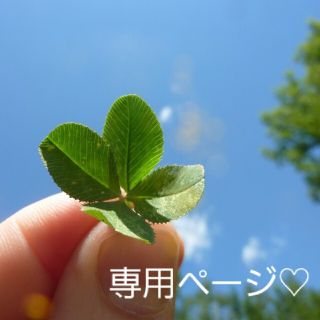 ベルち様専用ページ♡(野菜)