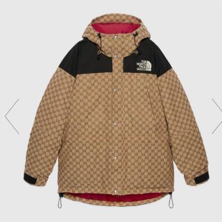 グッチ(Gucci)のGUCCI × THE NORTH FACE ダウンジャケット(ダウンジャケット)