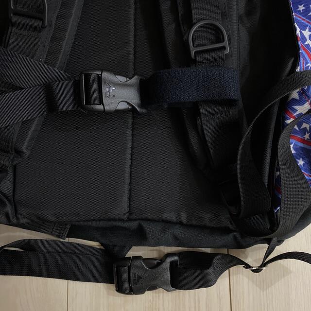 グレゴリー 旧ロゴ星柄 USA限定モデルリックバッグパック
