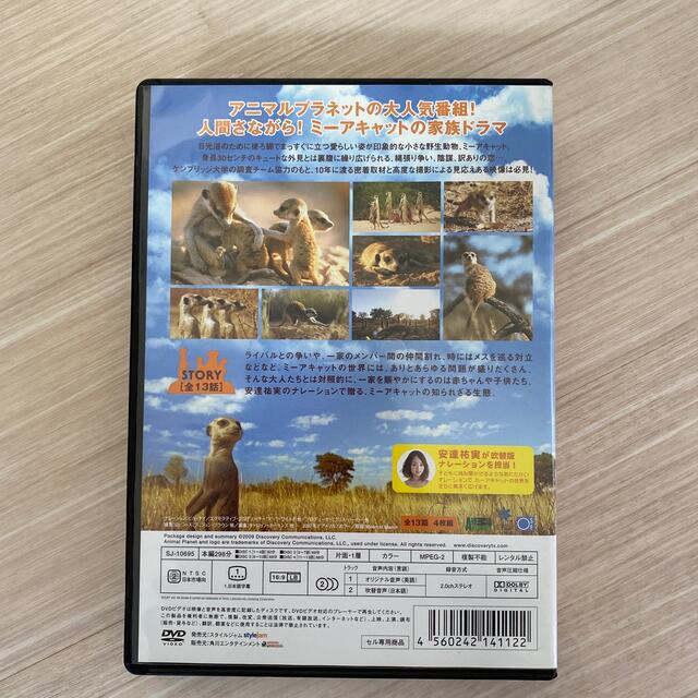 アニマルプラネット　ミーアキャットの世界　シーズン2　DVD　BOX DVD