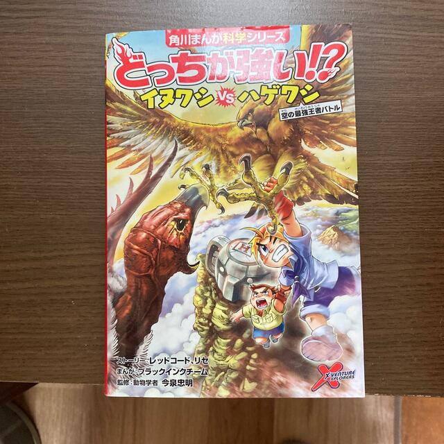 どっちが強い！？イヌワシｖｓハゲワシ 空の最強王者バトル エンタメ/ホビーの本(絵本/児童書)の商品写真