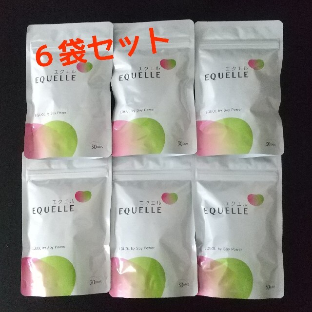 食品/飲料/酒【新品未開封】【匿名配送】エクエル　120粒入り(約30日分)　※6個セット