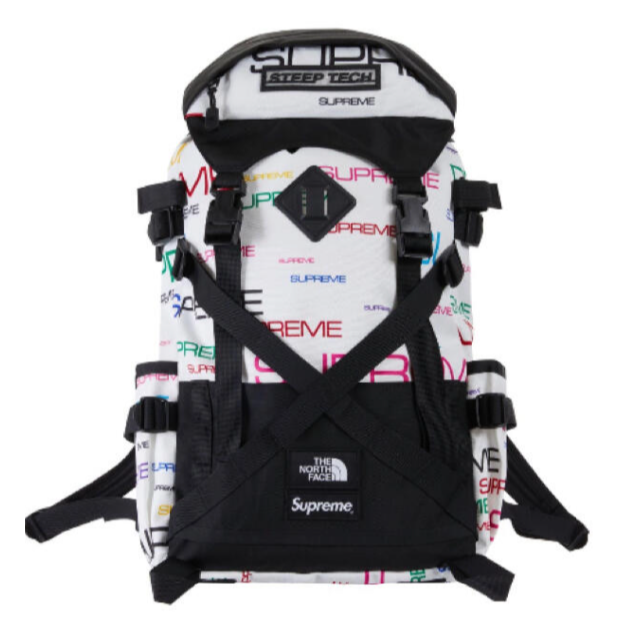 Supreme the north face Backpack White