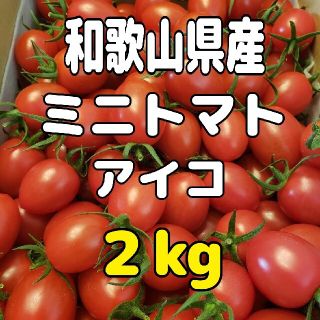 和歌山県産 ミニトマト アイコ ２㎏(野菜)