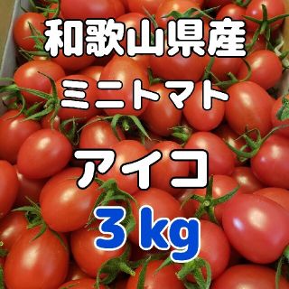 和歌山県産 ミニトマト アイコ ３㎏(野菜)