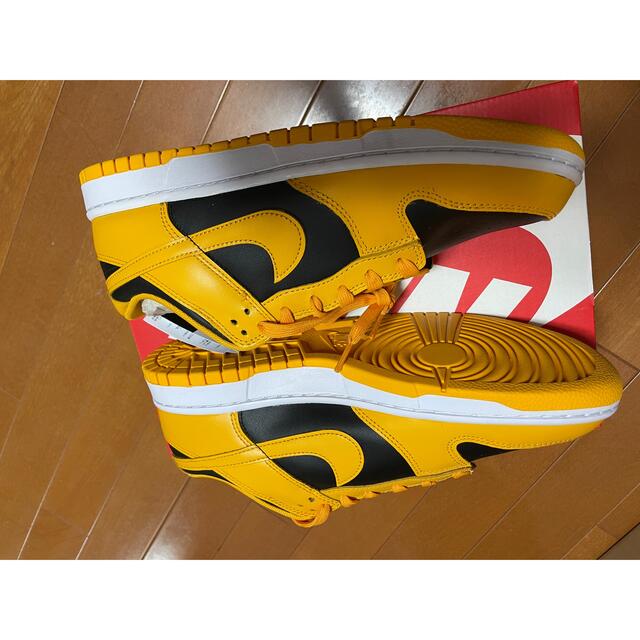 NIKE(ナイキ)のNIKE DUNK LOW Championship Goldenrod  28 メンズの靴/シューズ(スニーカー)の商品写真