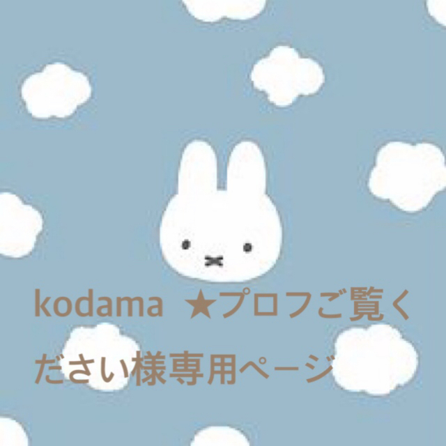 kodama ☆プロフご覧ください様専用ページ 定番人気! 70.0%OFF