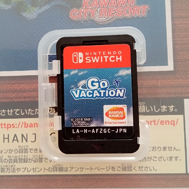 GO VACATION Switch エンタメ/ホビーのゲームソフト/ゲーム機本体(家庭用ゲームソフト)の商品写真