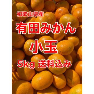 有田みかん　小玉　5キロ　家庭用　送料込み(フルーツ)