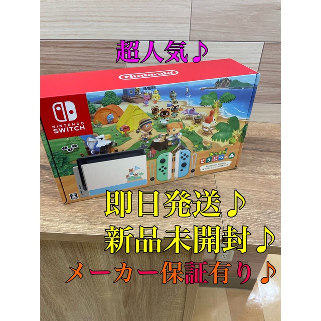 新品未開封　Nintendo Switch あつまれどうぶつの森　本体セット