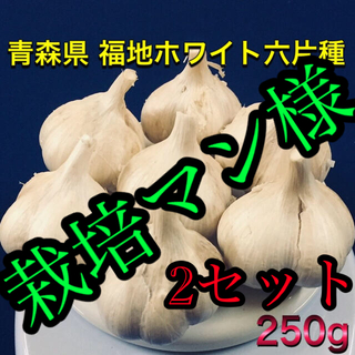 青森県産 にんにく 福地ホワイト六片 500g S〜Mサイズ(野菜)