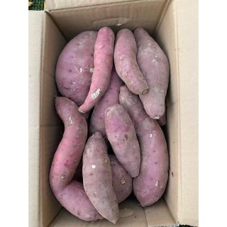 B級品 無農薬紅はるか 10キロ(野菜)