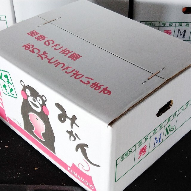 人気☆Mサイズ10kg【送料こみ】熊本産早生温州みかん10kg 食品/飲料/酒の食品(フルーツ)の商品写真