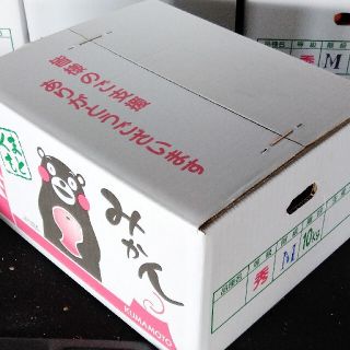 人気☆Mサイズ10kg【送料こみ】熊本産早生温州みかん10kg(フルーツ)