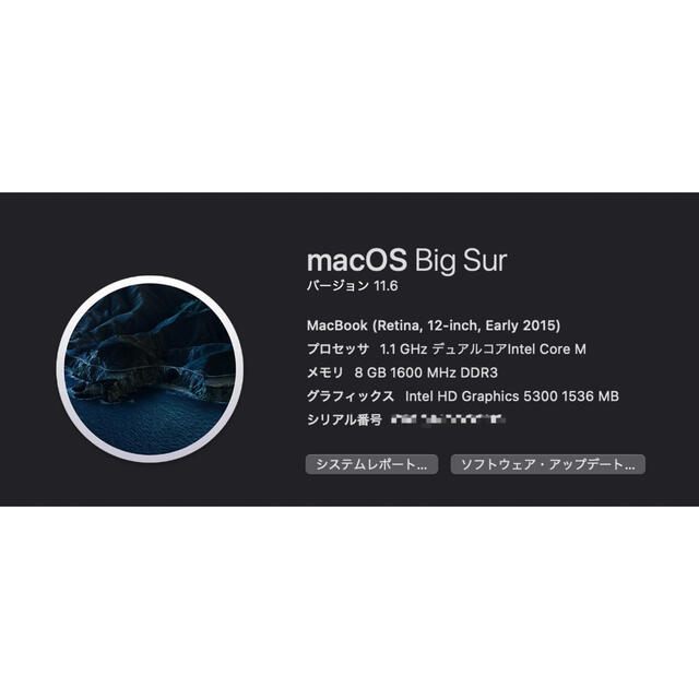 【電池異常】MacBook Retina 12-inch Early 2015ジャンク