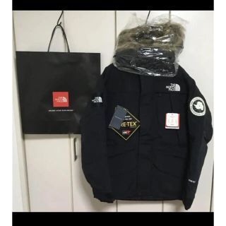 ザノースフェイス(THE NORTH FACE)のザノースフェイス　アンタークティカ パーカー(ダウンジャケット)