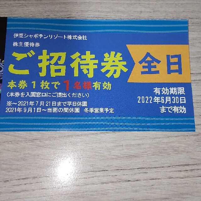 伊豆高原グランイルミご招待券（全日）２名様 チケットの施設利用券(遊園地/テーマパーク)の商品写真