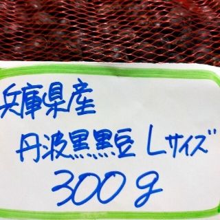 兵庫県産　丹波黒黒豆　Lサイズ　300g(野菜)