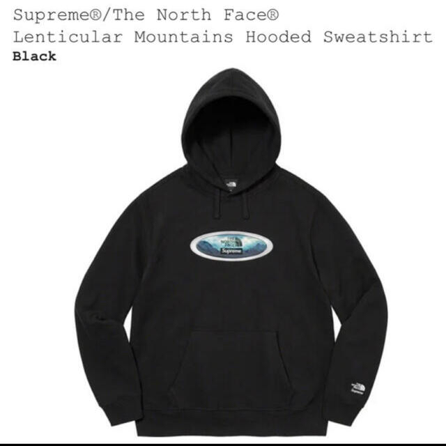 supreme THE NORTH FACE