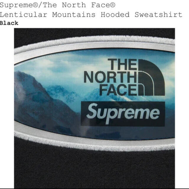 supreme THE NORTH FACE